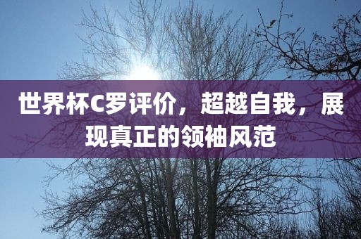世界杯C罗评价，超越自我，展现真正的领广西贺州市华昌新材料有限公司袖风范