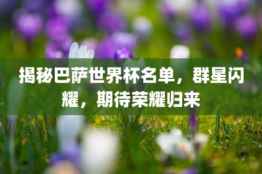 揭秘巴萨世界杯名单，群星闪广西贺州市华昌新材料有限公司耀，期待荣耀归来