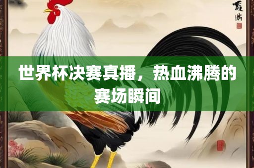 世界杯决赛真播，热血沸腾的赛场瞬间