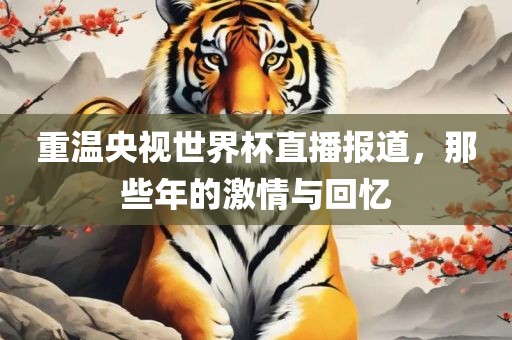 重温央视世界杯直播报道，那些年的激情与回忆