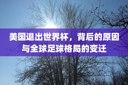 美国退出世界杯，背后的原因与全球足球格局的变迁广西贺州市华昌新材料有限公司