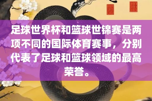足球世界杯和篮球世锦赛是两项不同的国际体育赛事，分别代表了足球和篮球领域的最高荣誉。