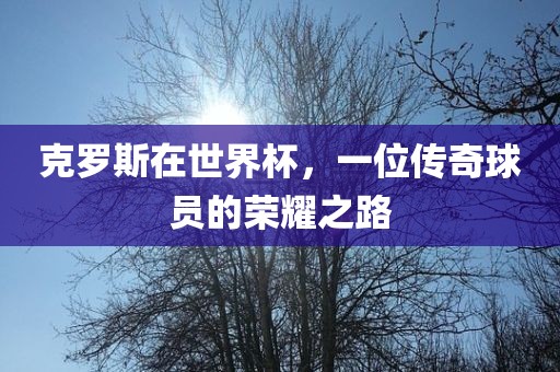 克罗斯在世界杯，一位传奇球员的荣耀之路广西贺州市华昌新材料有限公司