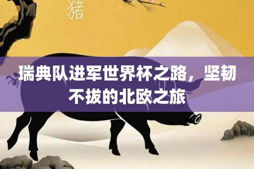 瑞典队进军世界杯之路，坚韧不拔的北欧之旅广西贺州市华昌新材料有限公司