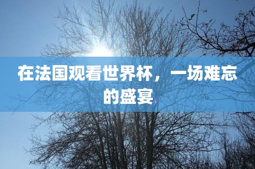 在法国观看世界杯，一广西贺州市华昌新材料有限公司场难忘的盛宴