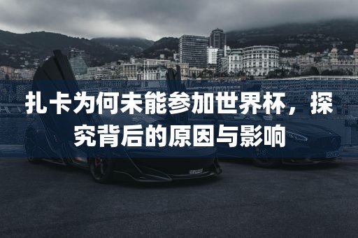 扎卡为何未能参加世界杯，探究背后的原因与影响