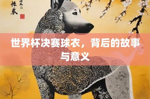 世界杯决赛球衣，背后的故事与意义