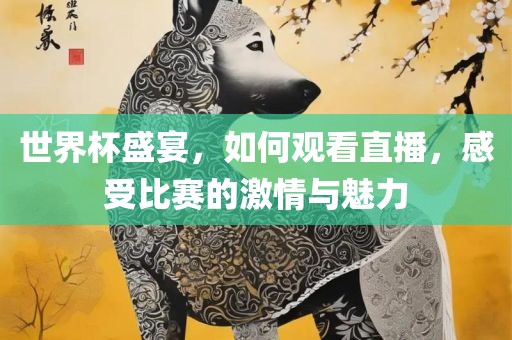 世界杯盛宴，如何观看直播，感受比赛的激情与魅力