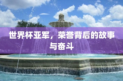 世界杯亚军，荣誉背后的故事与奋斗广西贺州市华昌新材料有限公司