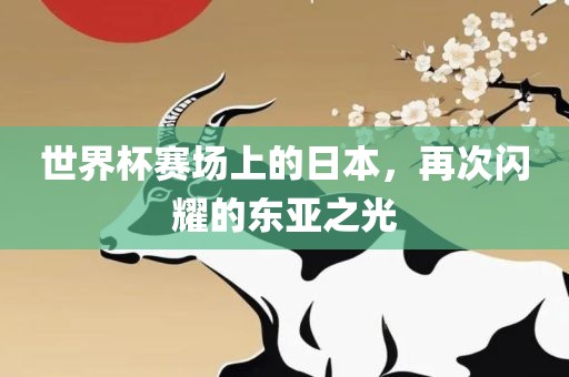 世界杯赛场上的日本，再次闪耀的东亚之光广西贺州市华昌新材料有限公司