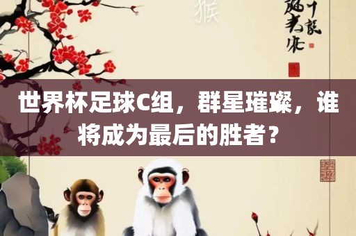 世界杯足球C组，群星璀璨，谁将成为最后的胜者？广西贺州市华昌新材料有限公司