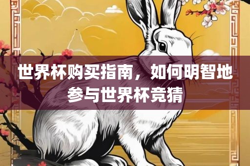 世界杯购买指南，如何明智地参与世界杯竞猜