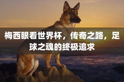 梅西眼看世界杯，传奇之路，足球之魂的终极追求