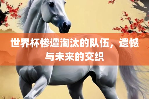 世界杯惨遭淘汰的队伍，遗憾与未来的交织广西贺州市华昌新材料有限公司