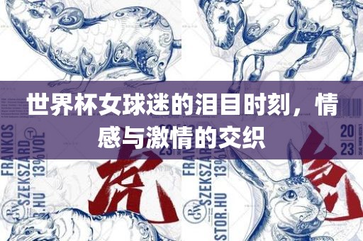 世界杯女球迷的泪目时刻，情感与激情的交织广西贺州市华昌新材料有限公司