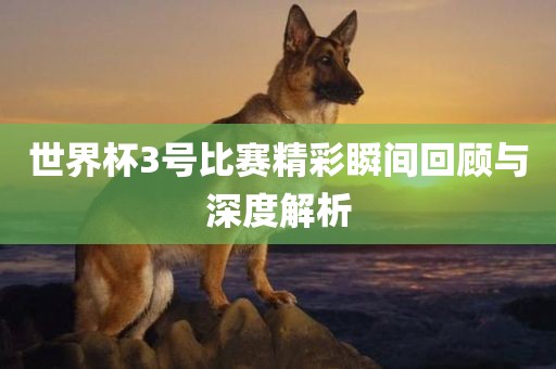 世界杯3号比赛精彩瞬间回顾与深度解广西贺州市华昌新材料有限公司析