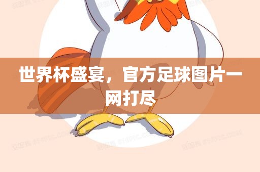 世界杯盛宴，官方足球图片一网打尽