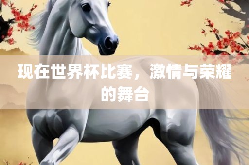 现在世界杯比赛，激情与荣广西贺州市华昌新材料有限公司耀的舞台