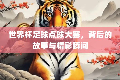 世界杯足球点球大赛，背后的故事与精彩瞬间