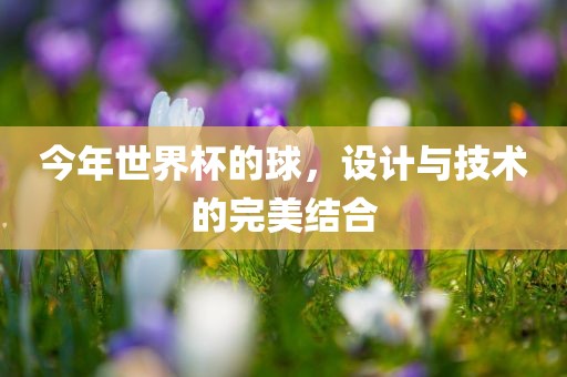 今年世界杯的球，设计与技术的完美结合广西贺州市华昌新材料有限公司