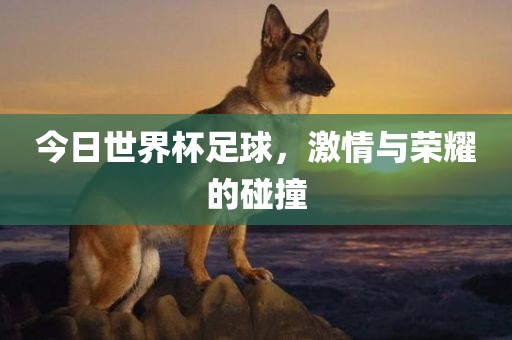 今日世界杯足球，激情与荣耀的碰撞广西贺州市华昌新材料有限公司