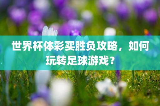 世界杯体彩买胜负攻略，如何玩转足球游戏？
