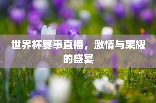 世界杯赛事直播，激情与荣耀的盛宴