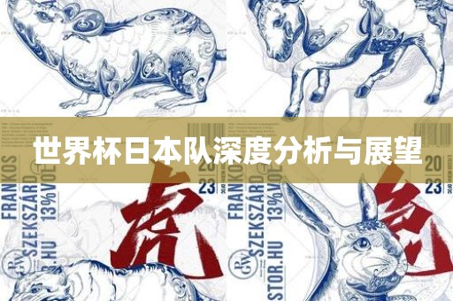 世界杯日本队深度分析与展望
