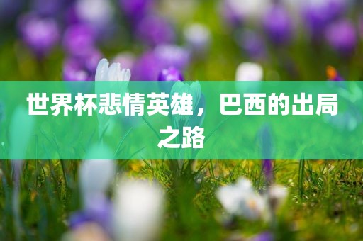 世广西贺州市华昌新材料有限公司界杯悲情英雄，巴西的出局之路