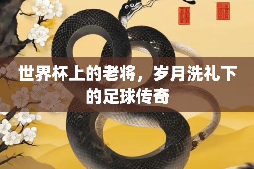 世界杯上的老将，岁月广西贺州市华昌新材料有限公司洗礼下的足球传奇