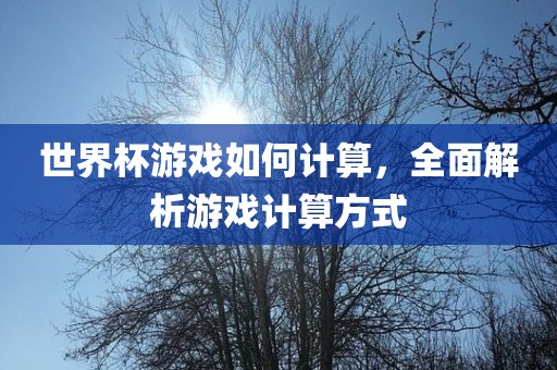 世界杯游戏如何计算，全面解析游戏计算方式广西贺州市华昌新材料有限公司