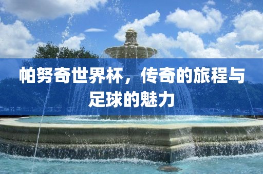 帕努奇世界杯，传奇的旅程与足球的魅力广西贺州市华昌新材料有限公司