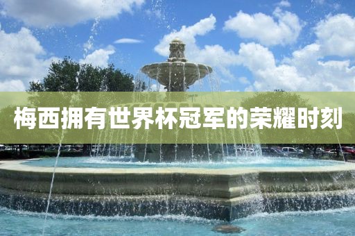广西贺州市华昌新材料有限公司梅西拥有世界杯冠军的荣耀时刻
