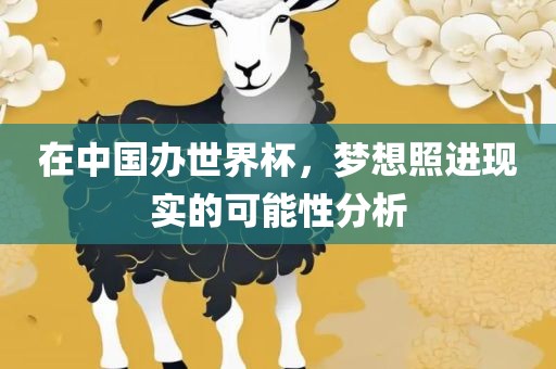 在中国办世界杯，梦想照进现实的可能性分析广西贺州市华昌新材料有限公司
