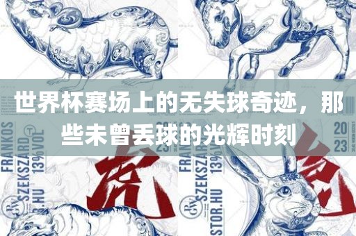 世界杯赛场上的无失球奇迹，那些未曾丢球的光辉时刻广西贺州市华昌新材料有限公司