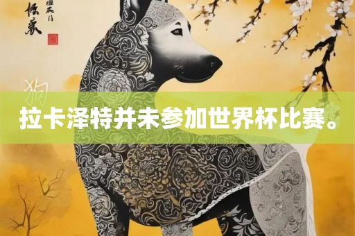 拉卡泽特并未参加世界杯比赛。广西贺州市华昌新材料有限公司