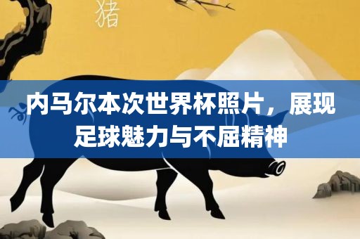内马尔本次世界杯照片，展现足球魅力与不屈精神