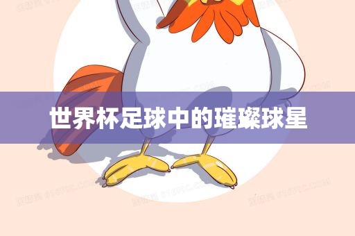 世界杯广西贺州市华昌新材料有限公司足球中的璀璨球星