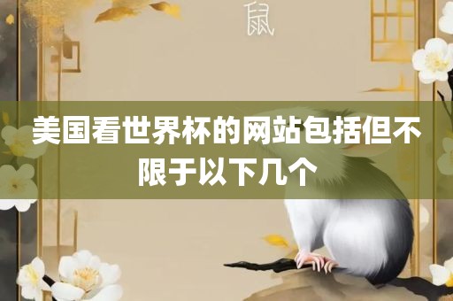 美国看世界杯的网站包括但不限于以下几个