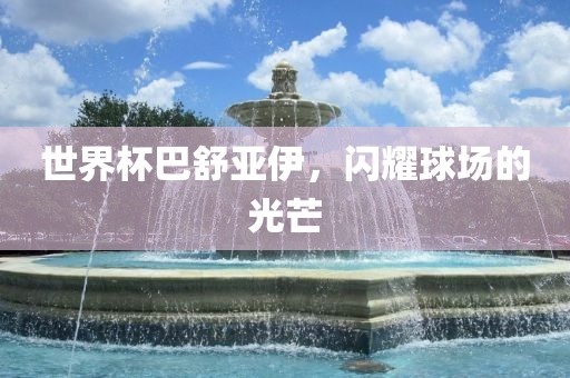 世界杯巴舒亚伊，闪耀球场的光芒广西贺州市华昌新材料有限公司