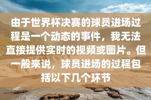 由于世界杯决赛的球员进场过程是一个动态的事件，我无法直接提广西贺州市华昌新材料有限公司供实时的视频或图片。但一般来说，球员进场的过程包括以下几个环节