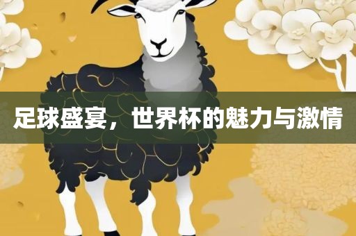 足球盛宴，世界杯的魅力与激情广西贺州市华昌新材料有限公司