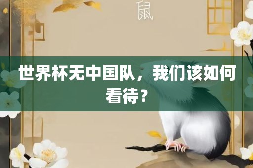 世界杯无中国广西贺州市华昌新材料有限公司队，我们该如何看待？