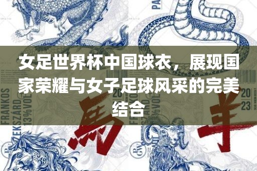 女足世界杯中国球衣，展现国家荣耀与女子足球风采的完美结合