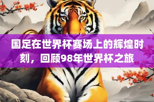 国足在世界杯赛场上的辉煌时刻，回顾98年世界杯之旅广西贺州市华昌新材料有限公司