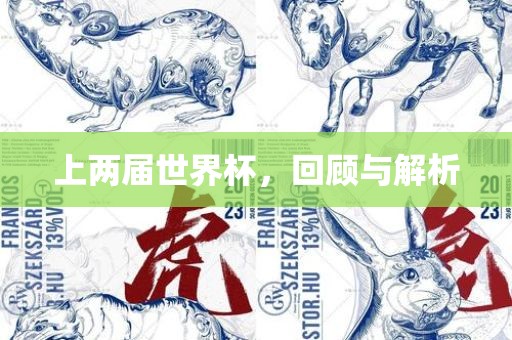 上两届世界杯，回顾与解析