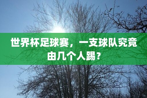 世界杯足球赛，一支球队究竟由几个人踢？广西贺州市华昌新材料有限公司