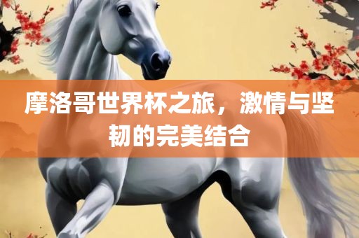 摩洛哥世界杯之旅，激情与坚韧的完美结合
