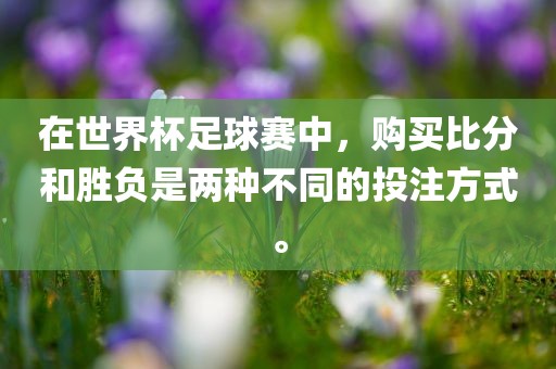 在世界杯足球赛中，购买比分和胜负是两种不同的投注方式。广西贺州市华昌新材料有限公司