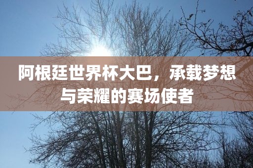 阿根廷世界杯大巴，承载梦想与荣耀的赛场使广西贺州市华昌新材料有限公司者